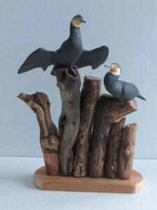 Cormorants